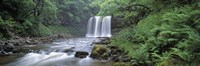 Waterfall in a forest, Sgwd Yr Eira (Waterfall of Snow), Afon Hepste, Brecon Beacons National Park, Wales Fine Art Print