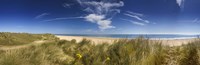 Marram Grass, dunes and beach, Winterton-on-Sea, Norfolk, England Fine Art Print