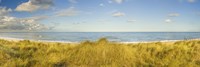 Grass on the beach, Horsey Beach, Norfolk, England Fine Art Print