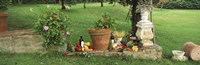 Wine grapes and foods of Chianti Region of Tuscany at private estate, Italy Framed Print