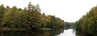 Reflection of trees in the Musquash River, Muskoka, Ontario, Canada Fine Art Print