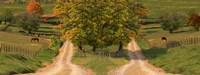 Two dirt roads passing through farms in autumn Fine Art Print