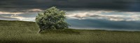 Tree swaying in storm Fine Art Print