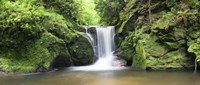 Water in a forest, Geroldsau Waterfall, Black Forest, Baden-Wurttemberg, Germany Fine Art Print