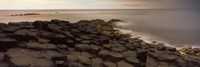 Reef at the Giant's Causeway, County Antrim, Northern Ireland by Panoramic Images - various sizes