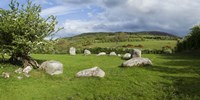 Piper's Stone, Bronze Age Stone Circle (1400-800 BC) of 14 Granite Boulders, Near Hollywood, County Wicklow, Ireland Fine Art Print