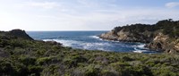 Coastline, Point Lobos State Reserve, Carmel, California Fine Art Print