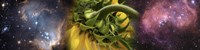 Sunflower in cosmos Fine Art Print