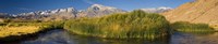 Owens River flowing in front of mountains, Californian Sierra Nevada, Bishop, California, USA Fine Art Print