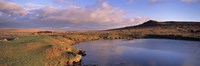 Pond and warm evening light at Sharpitor, Dartmoor, Devon, England by Panoramic Images - 36" x 12"