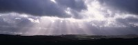 Sunbeams radiating through dark clouds over rolling hills, Dartmoor, Devon, England Fine Art Print