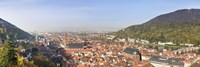 High angle view of a city at the riverside, Neckar River, Heidelberg, Baden-Wurttemberg, Germany Fine Art Print