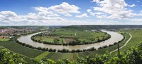 High angle view of vineyards, Neckar River, Mundelsheim, Baden-Wurttemberg, Germany Fine Art Print