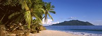 Palm trees grow out over a small beach with Silhouette Island in the background, Seychelles Fine Art Print