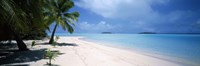 Palm trees on the beach, Tapuaetai, Aitutaki, Cook Islands Fine Art Print