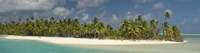Palm trees on the beach, Tapuaetai Motu, Aitutaki, Cook Islands Fine Art Print