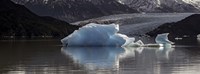 Iceberg in a lake, Gray Glacier, Torres del Paine National Park, Magallanes Region, Patagonia, Chile, Lake Fine Art Print