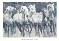 Equine Journey Fine Art Print