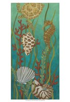 Aquatic Life I Fine Art Print