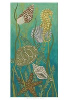 Aquatic Life II Fine Art Print