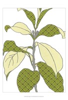 Modern Foliage I Fine Art Print