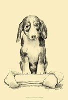 Buddy Fine Art Print