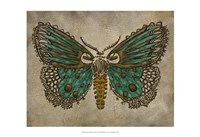 Lace Wing I Fine Art Print