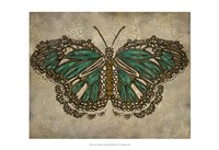Lace Wing II Fine Art Print