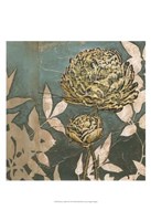 Peony on Blue II Framed Print