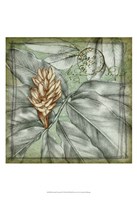 Postmark Tropicals II Fine Art Print