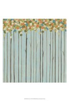 Birch Grove I Fine Art Print