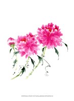 Peonies in Pink III Fine Art Print