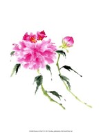 Peonies in Pink IV Fine Art Print