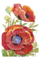 Poppy Floral II Fine Art Print