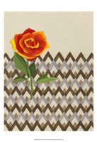 Rosa Dawn I Fine Art Print