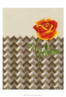 Rosa Dawn II Fine Art Print