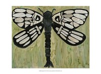 Dragonfly Text Fine Art Print