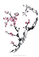 Plum Blossom Branch II Fine Art Print