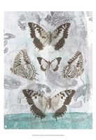 Butterflies & Filigree II Framed Print