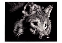 Wild Eyes Fine Art Print