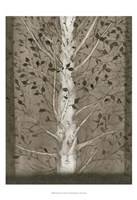 Intertwine II Fine Art Print