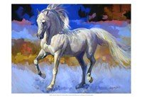 19" x 13" Horse Pictures