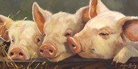 Pig Heaven Fine Art Print