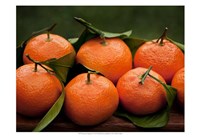 Satsuma Tangerines I Framed Print