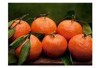 Satsuma Tangerines II Fine Art Print