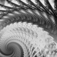 Helix I Fine Art Print