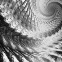Helix II Fine Art Print