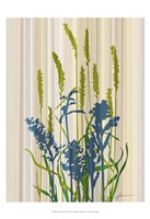 Strip Garden I Fine Art Print