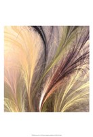 Fountain Grass I by James Burghardt - 13" x 19"