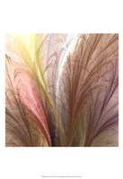 Fountain Grass II Fine Art Print